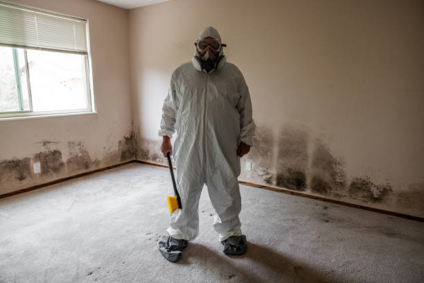 Best Same-Day Mold Removal  in Mangum, OK